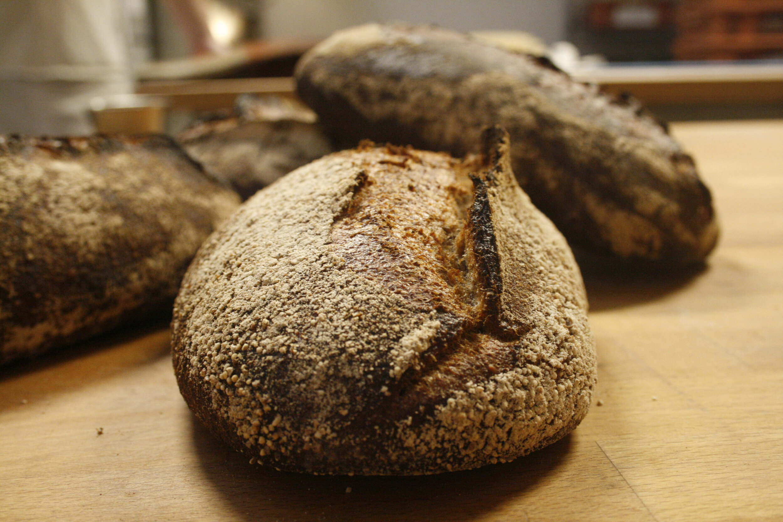 Grovt Surdeigsbr&oslash;d