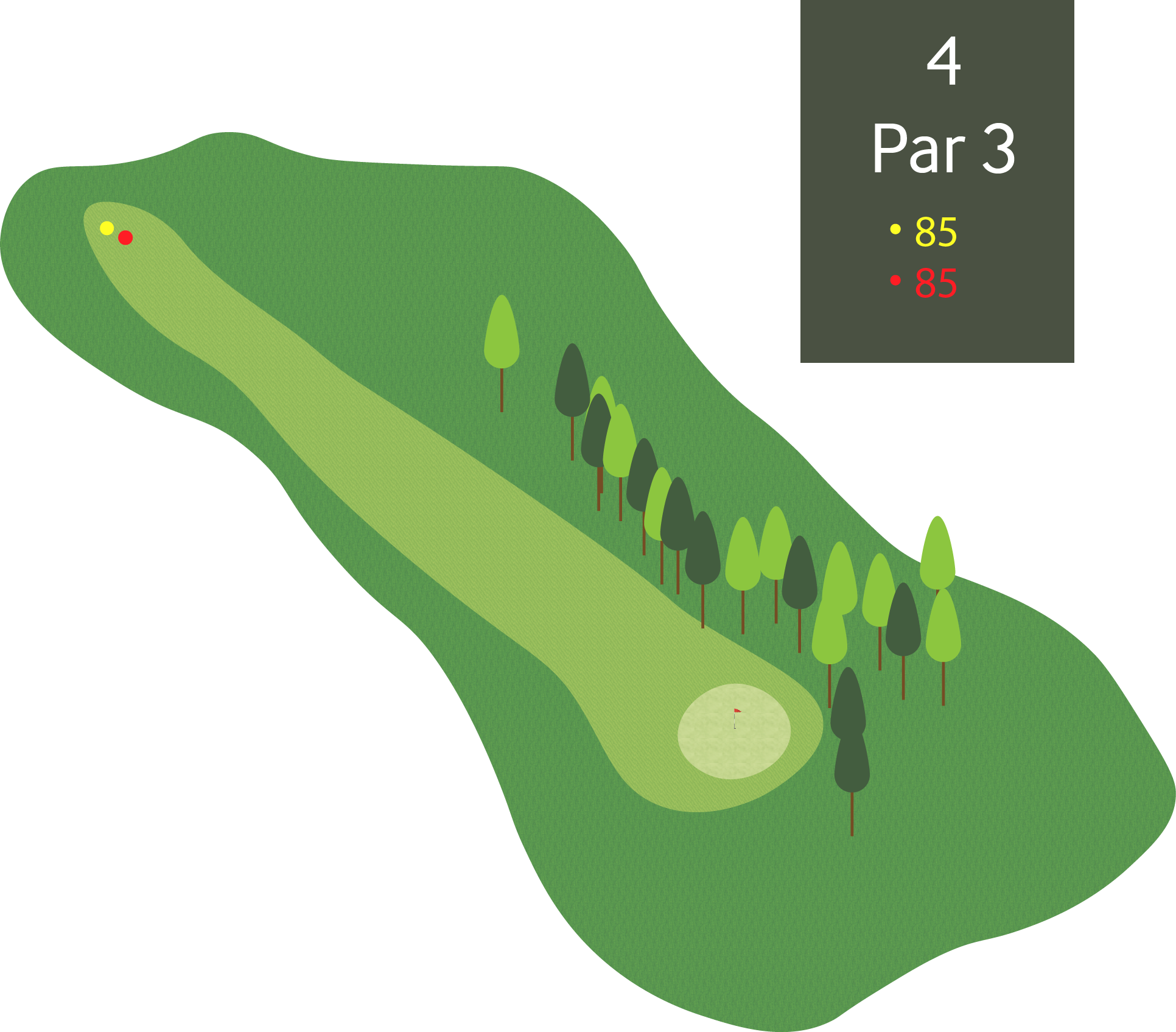 Hol 4 - Par 3 - 85m