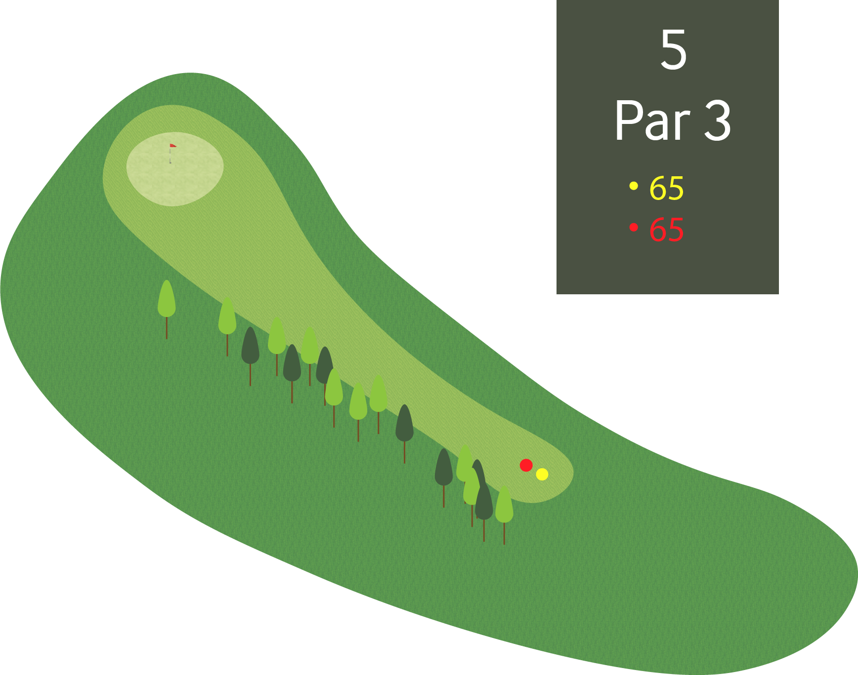 Hol 5 - Par 3 - 65m
